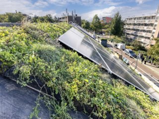 2025- huis toekomst -groenopbouw-Patina-ADV20250924_2931