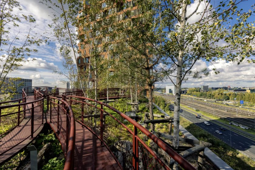 The Pulse of Amsterdam, award winning rooftop